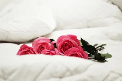 Букет роз на кровати - изображение для скачивания png