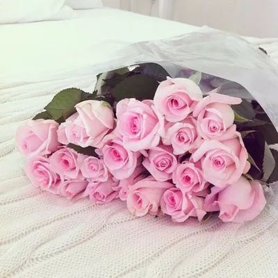 Фотка букета роз на кровати в формате webp