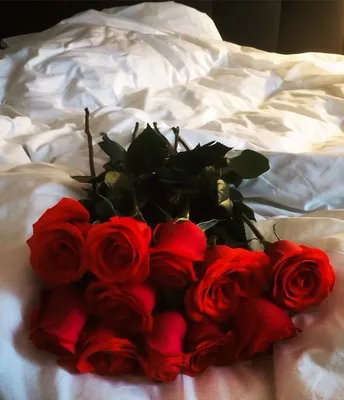 Изображение букета роз на кровати для загрузки в webp