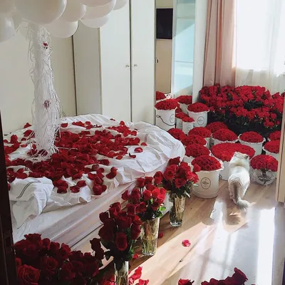 Фото букета роз на кровати для использования в дизайне - png