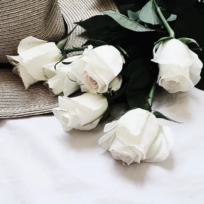 Розы на кровати: качественная картинка в формате webp