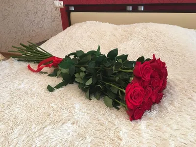 Букет роз на кровати - небольшое изображение png