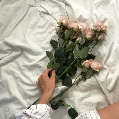 Красивый букет роз на кровати - скачать png