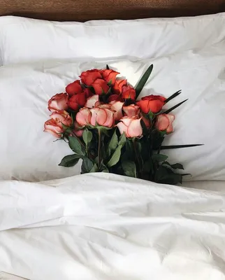 Букет роз на кровати: картинка для использования в дизайне webp