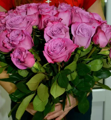 Великолепные розы в руках: сохраните изображение в вашем любимом формате