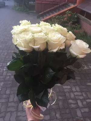 Роскошные розы для украшения дома - png