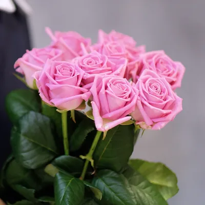 Букет розовых роз дома - фото в формате jpg, размер маленький