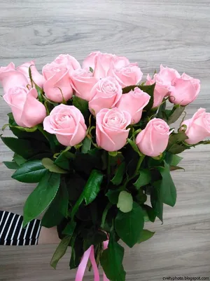 Большой букет прекрасных розовых роз дома - фото в формате webp, размер большой