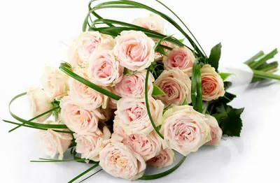 Оригинальное изображение букета розы и лилии в формате webp