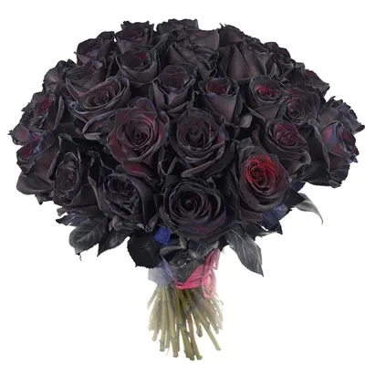 Букет темных роз: оригинальная фотография в формате jpg
