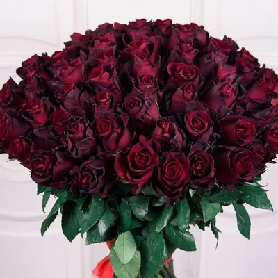 Букет темных роз на стильной фотографии