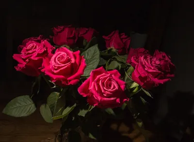 Фото букета темных роз с различными форматами