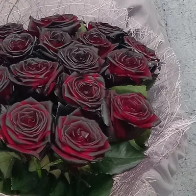 Изображение букета темных роз: выбирайте размер и формат