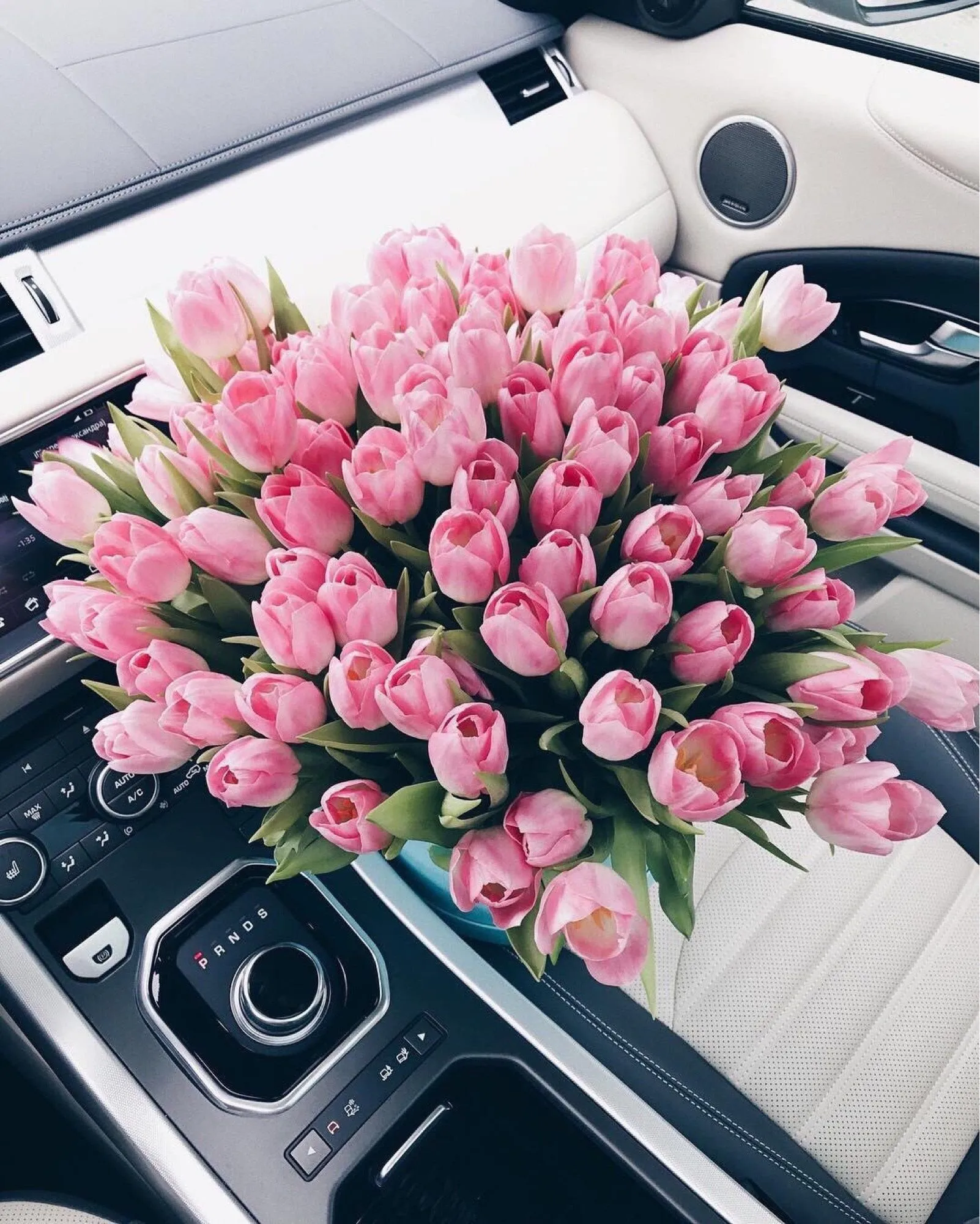 тюльпаны из машин (93) фото