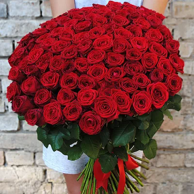 Фотография букета цветов 101 роза: Очарование красоты 