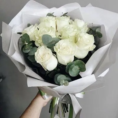 Нежные белые розы на фото