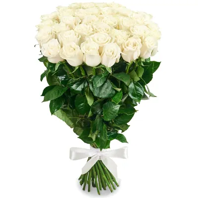 Прекрасные белые розы в формате png