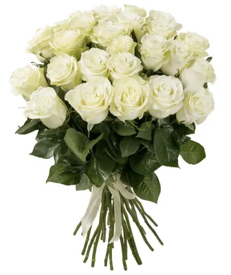 Фотка букета белых роз для скачивания