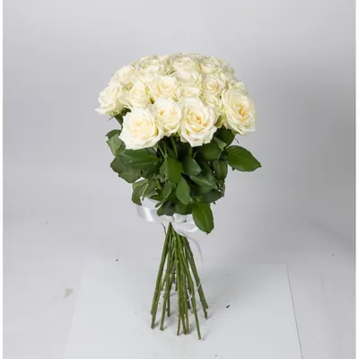 Белые розы в формате png - прекрасное фото