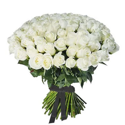 Фотка букета белых роз со страстью