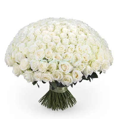 Романтическая фотка белых роз