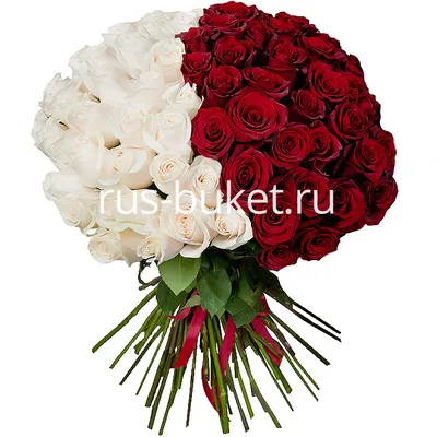 Фотка букета роз: скачать в webp