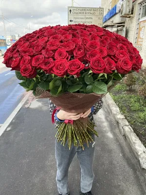 Фотография розовых роз: большой размер, jpg