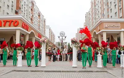 Бульвар роз энгельс: Фотография на выбранный размер в jpg