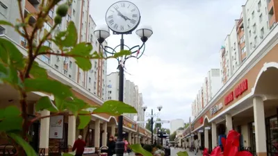 Фото бульвара роз энгельс: Уникальная картинка, доступная для скачивания в webp