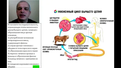 Отражение личности: Фото человека с бычьим цепнем