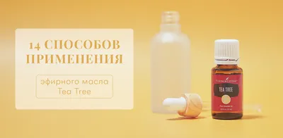 Украшение пейзажа: захватывающая картинка чайного дерева