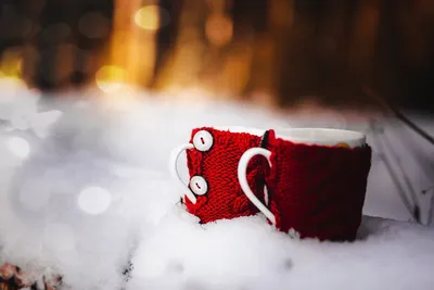 Фотография зимнего утра с ароматом кофе: Чашка в разных форматах