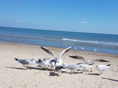 Загадочные и красивые фотографии морского заката