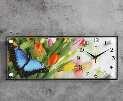 Часы бабочки: фотография в PNG