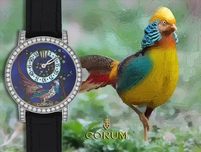 Момент великолепия: Часы Corum в фокусе внимания