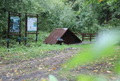 Фотки Чеглоков: удивительная коллекция птиц, которые вас удивят