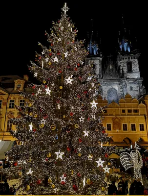 Фотографии Рождества: Чехия в форматах на выбор