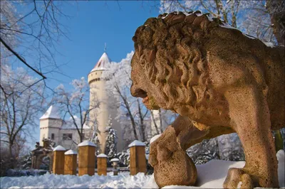 Зимние путешествия по Чехии: Фотографии для вашего выбора