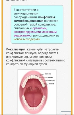 Фото зубов: Изысканные изображения для скачивания