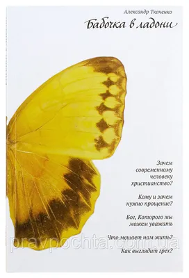 Бабочка волшебства: изображение Человек бабочка в формате WebP среднего размера
