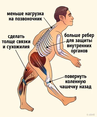 Фото человека будущего: выбирай формат - JPG, PNG, WebP.