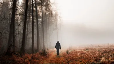 Человек в лесу фотографии