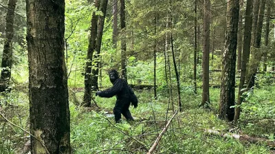 Взгляд внутрь: Человек в лесу через объектив фотографа