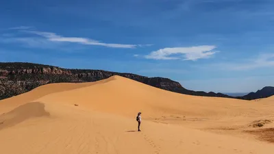 Фотография одинокого путника, следующего по следам песка