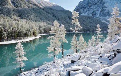 Зимние изображения Чемала: прекрасная природа