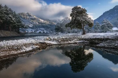 Фото зимнего Чемала в различных размерах