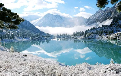 Фотографии зимней природы Чемала в разных форматах
