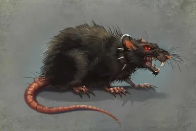 Черная крыса на фотографии в стиле noir