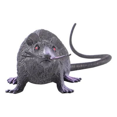 Фотка черной крысы с уникальным пятнистым окрасом