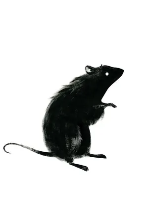 Изображение черной крысы для использования в тематических играх и головоломках